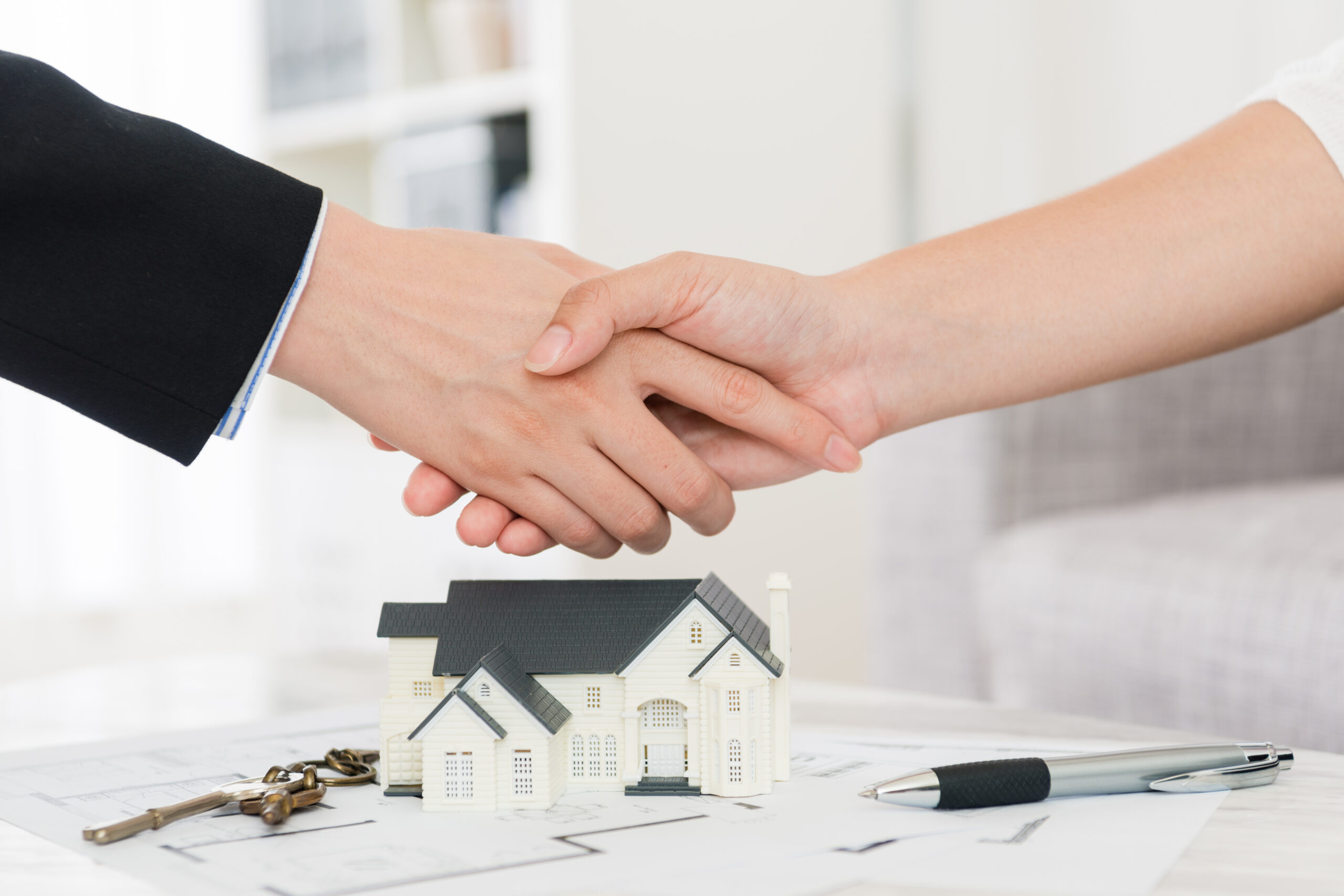 house agent successfully selling building scheme concept - business lady with investor buyer finished deal and handshake.